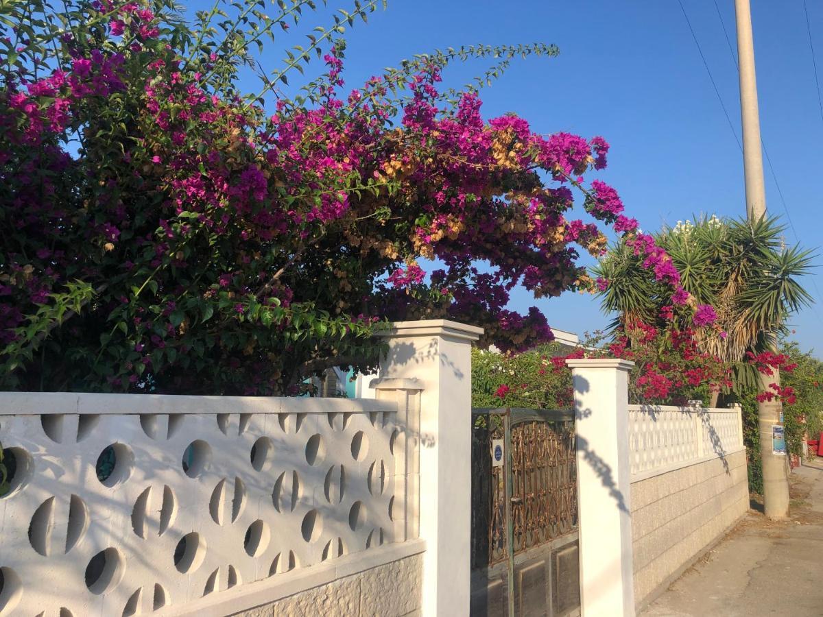 Amaris Mango Seafront Villa 格拉内利 外观 照片
